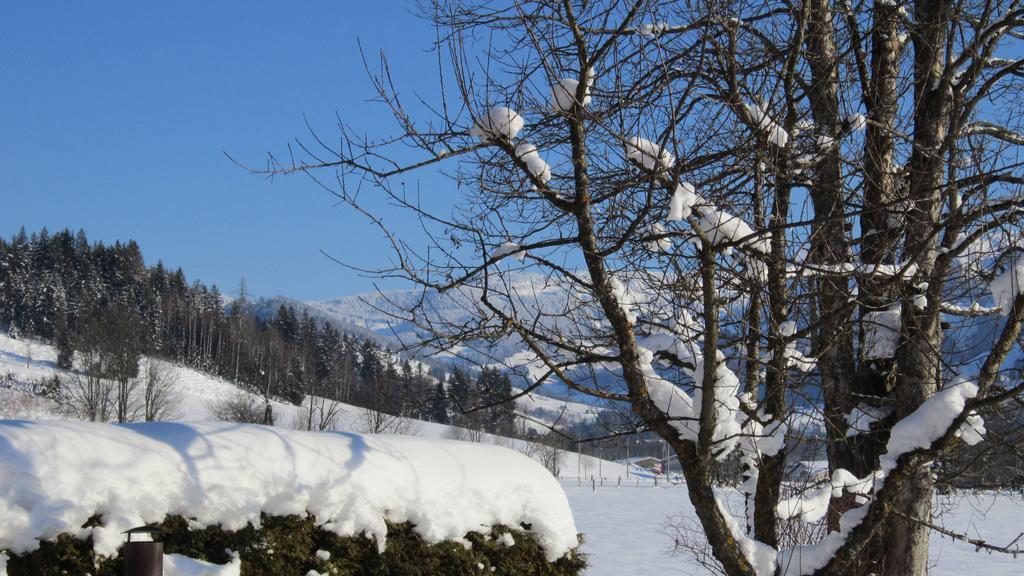 Appartamento Ramseiderhof Saalfelden Esterno foto
